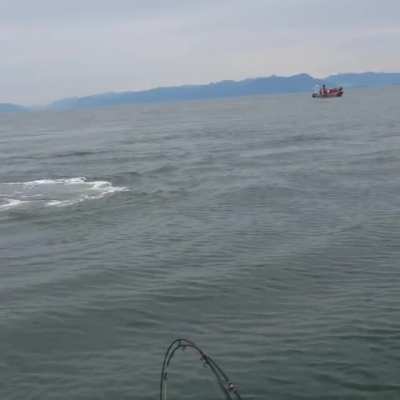 Fishing off of Vancouver Island when all of a sudden...