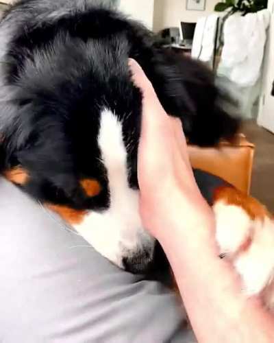 Ella Fetchgerald requesting head scratchies