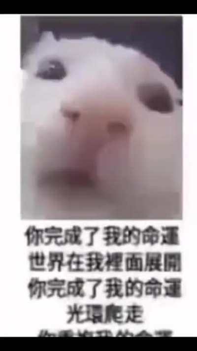 Rule