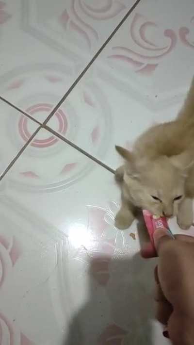 Eat baby, eat!