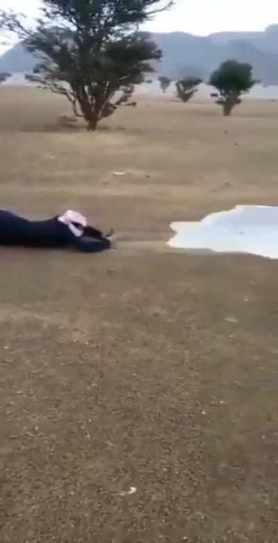 Flowing water is rare in desert, it needs to be filmed carefully and professionaly