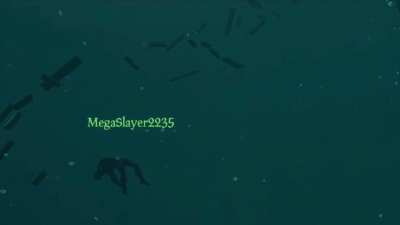 Through out the sea of thieves I alone am the sunken one 