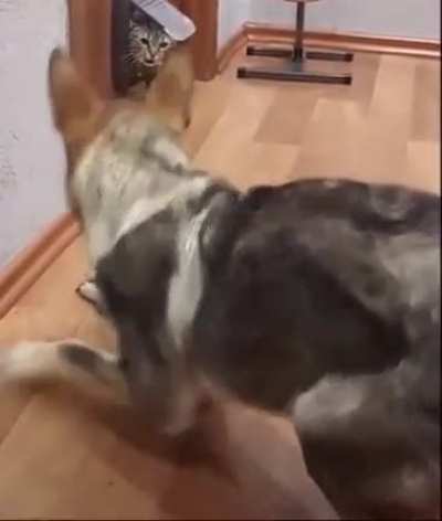 Surprise mofo!
