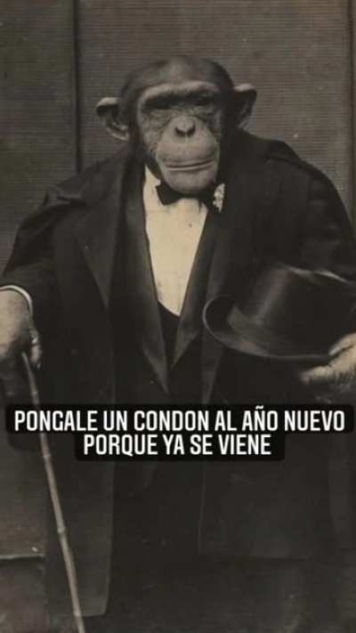 Ya se viene
