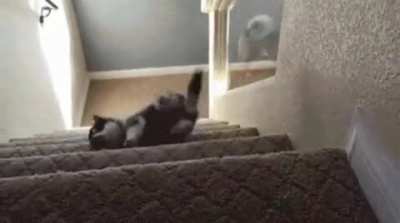 PuPpEr gEtS fUcKiNg ReCkt