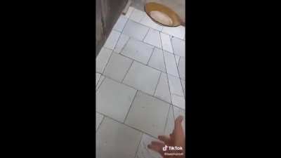 o ''prato indestrutível''