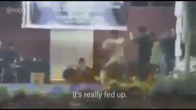 Kevin vs Kevin