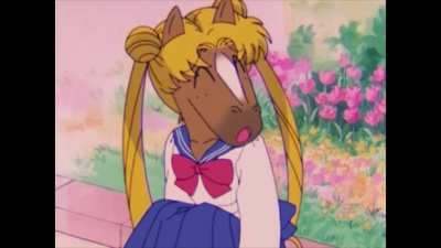 Horse.