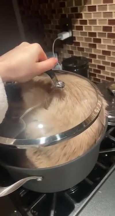 Melting Like Soup