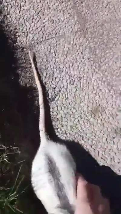 friend