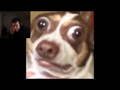 Mark’s laugh in this video is so loud I think it counts as a scream