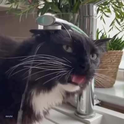Me trying my best to focus on the task at hand.