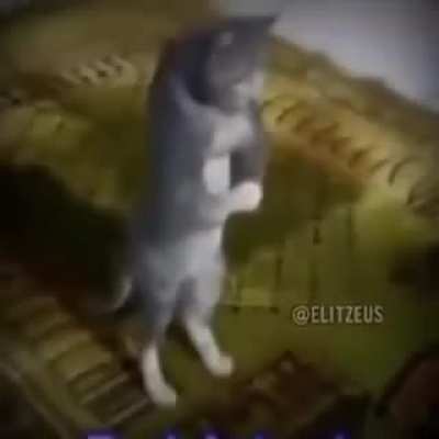 yooo