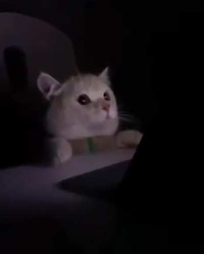 Loading screens at night be like: