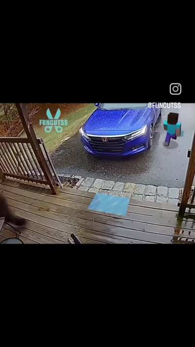Bitch ass steve