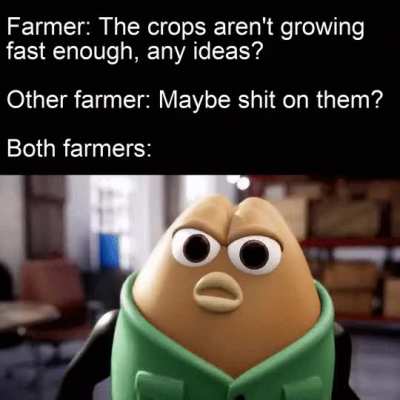 Great plan guys