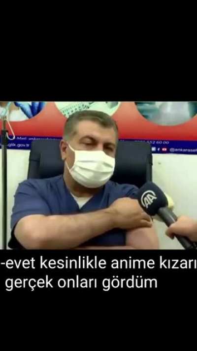 D-dostum anime kızları