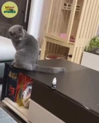 Maybe maybe maybe