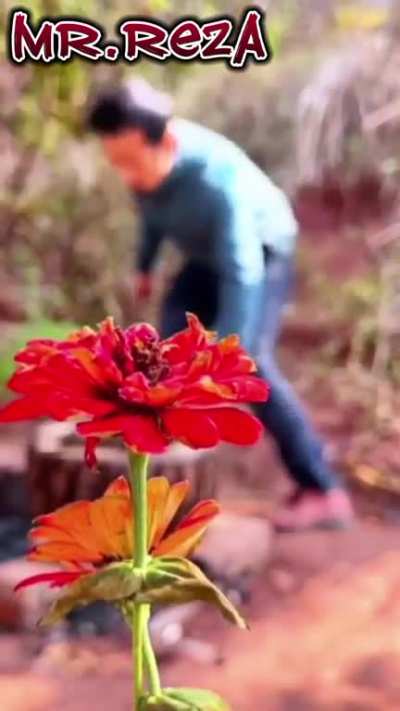غیر قابل منتظره ☠️💔