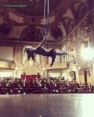 Trapezabat
