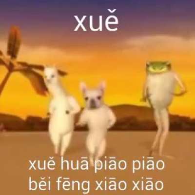 Ci