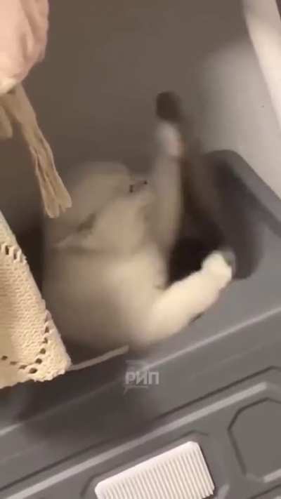 me and my problems