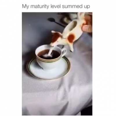 My maturity level summed up