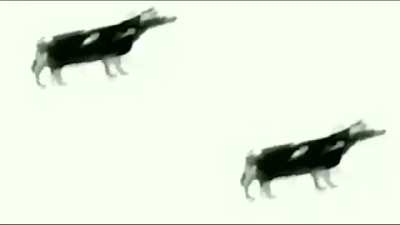 Suffer (shitpost day #1)