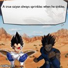 DB Legends PeePee