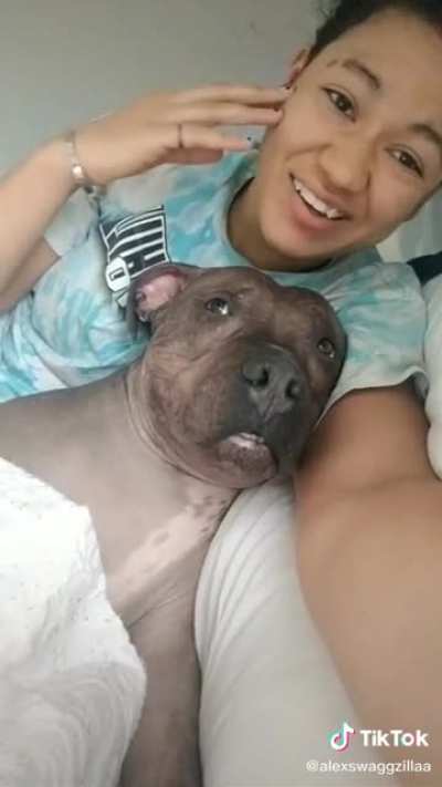 This dog has bars!