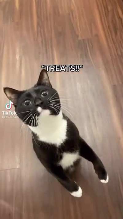 AAAA