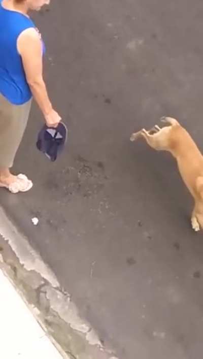 We don’t deserve dogs