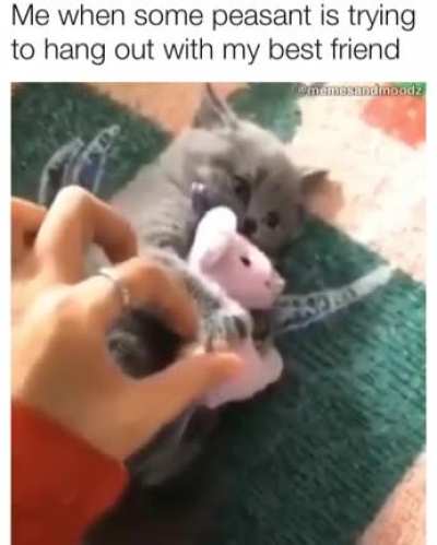 Mine