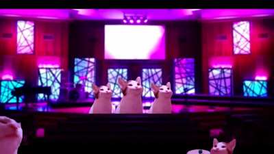 Popcat - O Fortuna