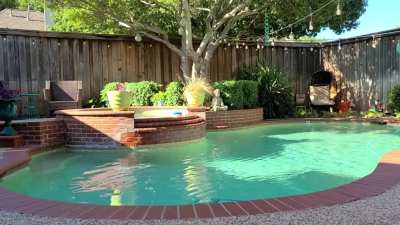 Backyard Oasis