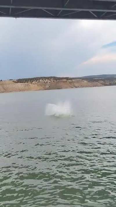 my buddy jumping off a 70 foot bridge points if you know the bridge