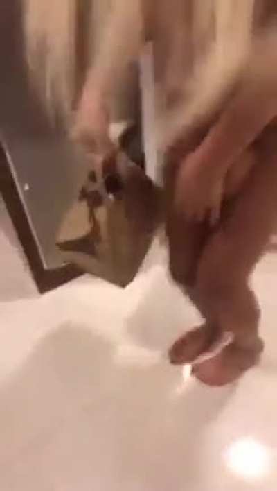 Kurye olarak çalışan kardeşlerim toplanın. Hanginiz bu ?