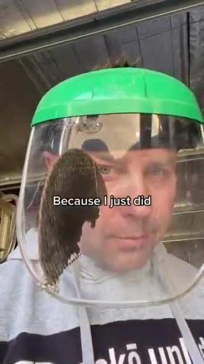 I think this fits the subreddit