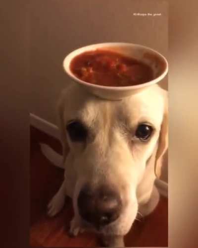 S A L S A B O Y
