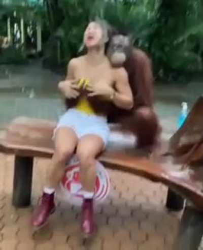 Photo op with Orang Utan
