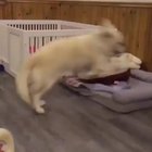 Aww