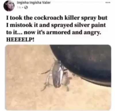 rułe