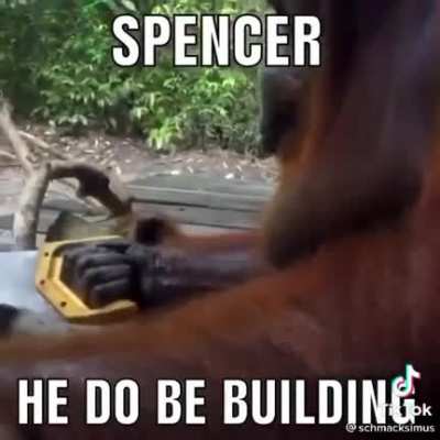 Spencer?👀👀👀👀