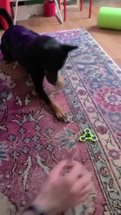 She gets really jazzed about fidget spinners 🤷‍♀️