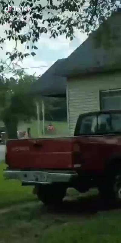 Every car in the frame being red