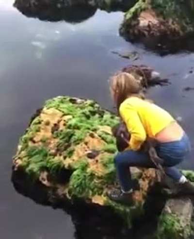 Shark rescue