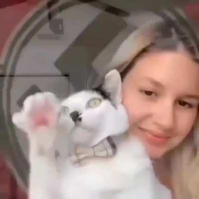 ahmmmm cat?