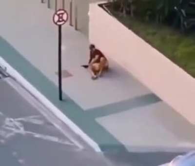 to snatch and run