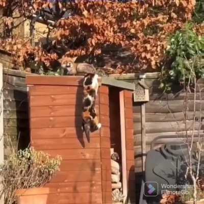 This roof is taken!