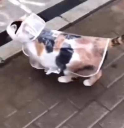 a pleasant stroll